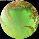 ./images/calvert/underwater/20260629/underwater20260629_115001M.jpg