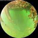 ./images/calvert/underwater/20260629/underwater20260629_115501M.jpg