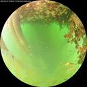 ./images/calvert/underwater/20260629/underwater20260629_120001M.jpg