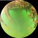 ./images/calvert/underwater/20260629/underwater20260629_120501M.jpg