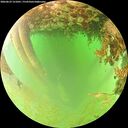 ./images/calvert/underwater/20260629/underwater20260629_121001M.jpg