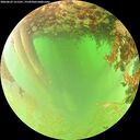 ./images/calvert/underwater/20260629/underwater20260629_121501M.jpg