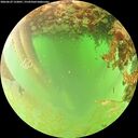 ./images/calvert/underwater/20260629/underwater20260629_122001M.jpg
