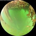 ./images/calvert/underwater/20260629/underwater20260629_122502M.jpg