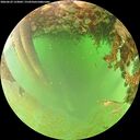 ./images/calvert/underwater/20260629/underwater20260629_123002M.jpg