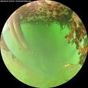 ./images/calvert/underwater/20260629/underwater20260629_123501M.jpg
