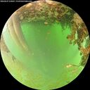 ./images/calvert/underwater/20260629/underwater20260629_124001M.jpg