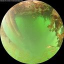 ./images/calvert/underwater/20260629/underwater20260629_125501M.jpg