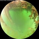 ./images/calvert/underwater/20260629/underwater20260629_130001M.jpg