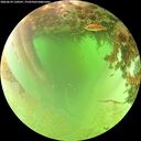./images/calvert/underwater/20260629/underwater20260629_130501M.jpg