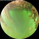 ./images/calvert/underwater/20260629/underwater20260629_131501M.jpg