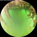 ./images/calvert/underwater/20260629/underwater20260629_132001M.jpg