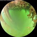 ./images/calvert/underwater/20260629/underwater20260629_132501M.jpg