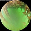 ./images/calvert/underwater/20260629/underwater20260629_133001M.jpg