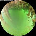 ./images/calvert/underwater/20260629/underwater20260629_134001M.jpg