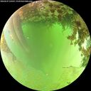 ./images/calvert/underwater/20260629/underwater20260629_134501M.jpg