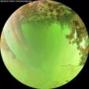 ./images/calvert/underwater/20260629/underwater20260629_135001M.jpg