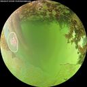 ./images/calvert/underwater/20260629/underwater20260629_135501M.jpg