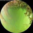 ./images/calvert/underwater/20260629/underwater20260629_140001M.jpg