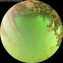 ./images/calvert/underwater/20260629/underwater20260629_141001M.jpg