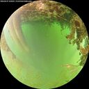 ./images/calvert/underwater/20260629/underwater20260629_142001M.jpg