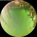 ./images/calvert/underwater/20260629/underwater20260629_142501M.jpg