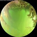 ./images/calvert/underwater/20260629/underwater20260629_143501M.jpg