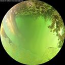 ./images/calvert/underwater/20260629/underwater20260629_144002M.jpg