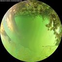 ./images/calvert/underwater/20260629/underwater20260629_144501M.jpg
