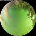./images/calvert/underwater/20260629/underwater20260629_145002M.jpg