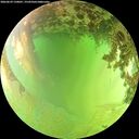 ./images/calvert/underwater/20260629/underwater20260629_150001M.jpg