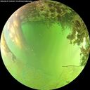 ./images/calvert/underwater/20260629/underwater20260629_150501M.jpg