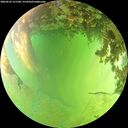 ./images/calvert/underwater/20260629/underwater20260629_151501M.jpg