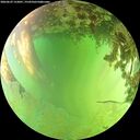 ./images/calvert/underwater/20260629/underwater20260629_152001M.jpg