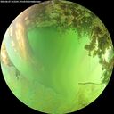 ./images/calvert/underwater/20260629/underwater20260629_152501M.jpg