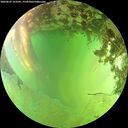 ./images/calvert/underwater/20260629/underwater20260629_153501M.jpg