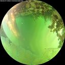 ./images/calvert/underwater/20260629/underwater20260629_154001M.jpg