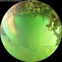 ./images/calvert/underwater/20260629/underwater20260629_154501M.jpg