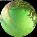 ./images/calvert/underwater/20260629/underwater20260629_155001M.jpg