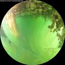 ./images/calvert/underwater/20260629/underwater20260629_155502M.jpg