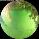./images/calvert/underwater/20260629/underwater20260629_160001M.jpg