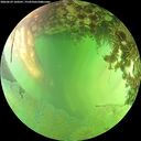./images/calvert/underwater/20260629/underwater20260629_160501M.jpg
