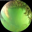 ./images/calvert/underwater/20260629/underwater20260629_161001M.jpg