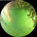 ./images/calvert/underwater/20260629/underwater20260629_161502M.jpg