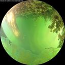 ./images/calvert/underwater/20260629/underwater20260629_162001M.jpg