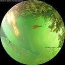 ./images/calvert/underwater/20260629/underwater20260629_162501M.jpg