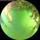 ./images/calvert/underwater/20260629/underwater20260629_163502M.jpg