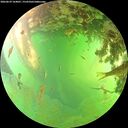 ./images/calvert/underwater/20260629/underwater20260629_164001M.jpg