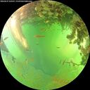 ./images/calvert/underwater/20260629/underwater20260629_164501M.jpg