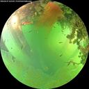 ./images/calvert/underwater/20260629/underwater20260629_165501M.jpg